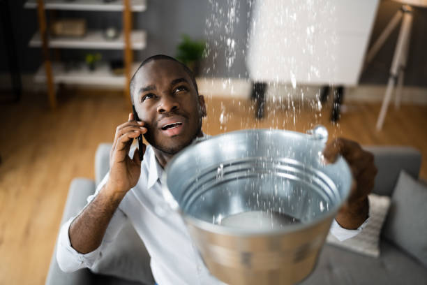 Best 24/7 water damage repair  in Hypoluxo, FL