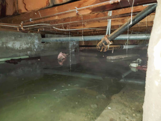 Best Sewage cleanup and water damage restoration  in Hypoluxo, FL