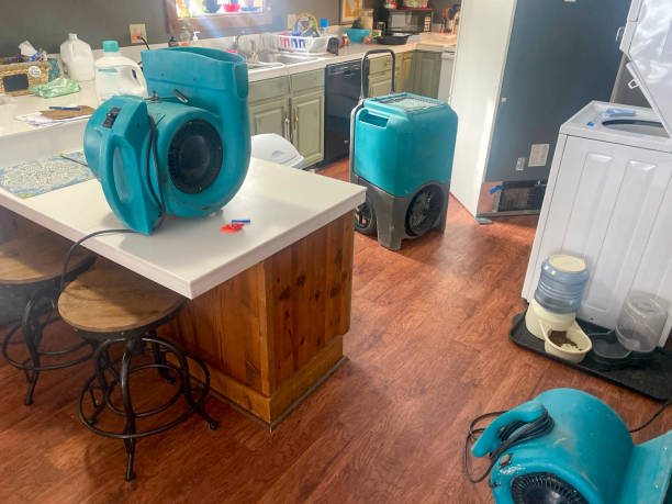 Best Professional water damage repair  in Hypoluxo, FL