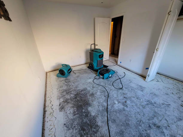 Best Emergency water damage restoration  in Hypoluxo, FL