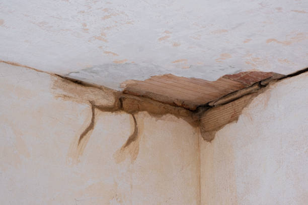 Best Fire Damage Restoration  in Hypoluxo, FL