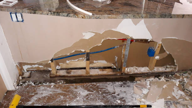 Best Water damage restoration services  in Hypoluxo, FL