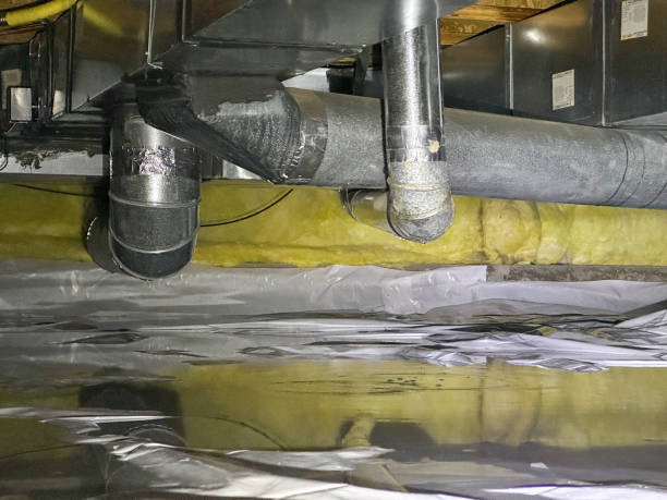 Best Water damage restoration near me  in Hypoluxo, FL