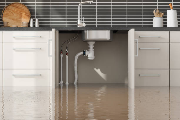 Best Mold removal after water damage  in Hypoluxo, FL